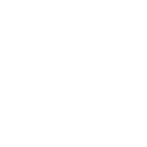 Steering Wheel Icon